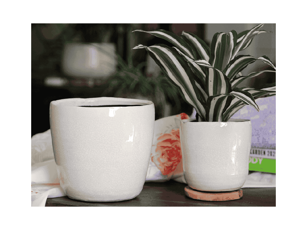 JEWEL FREEFORM PLANTER, IVORY CRACKLE, 6.5" X 6.5" X 6.0", SOLD IN CASE OF 4