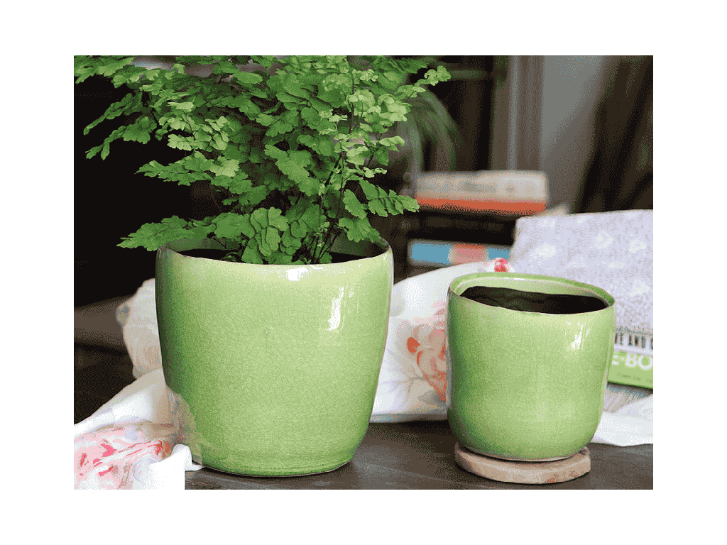 [IP-J16240PSC-B-C6] JEWEL FREEFORM PLANTER, PISTACHIO CRACKLE, 4.5" X 4.5" X 4.5", SOLD IN CASE OF 6