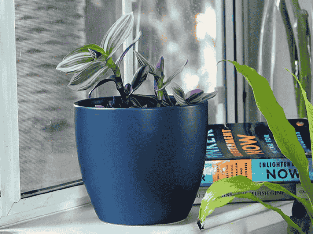 [IP-MC2021MCB-C8] PEACE LILY CACHE POT, MATTE CLASSIC BLUE, 6.5"X5.5", SOLD IN CASE OF 8