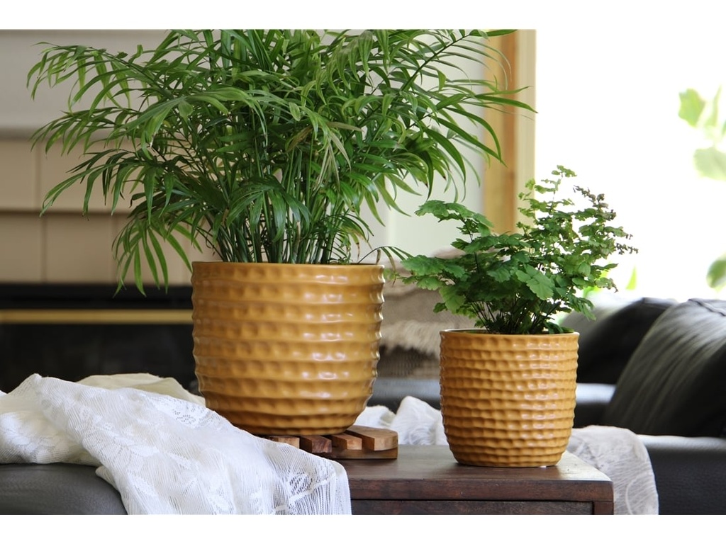 HONEYCOMB PLANTER, MUSTARD, 5.5"x5" SOLD IN CASE OF 8