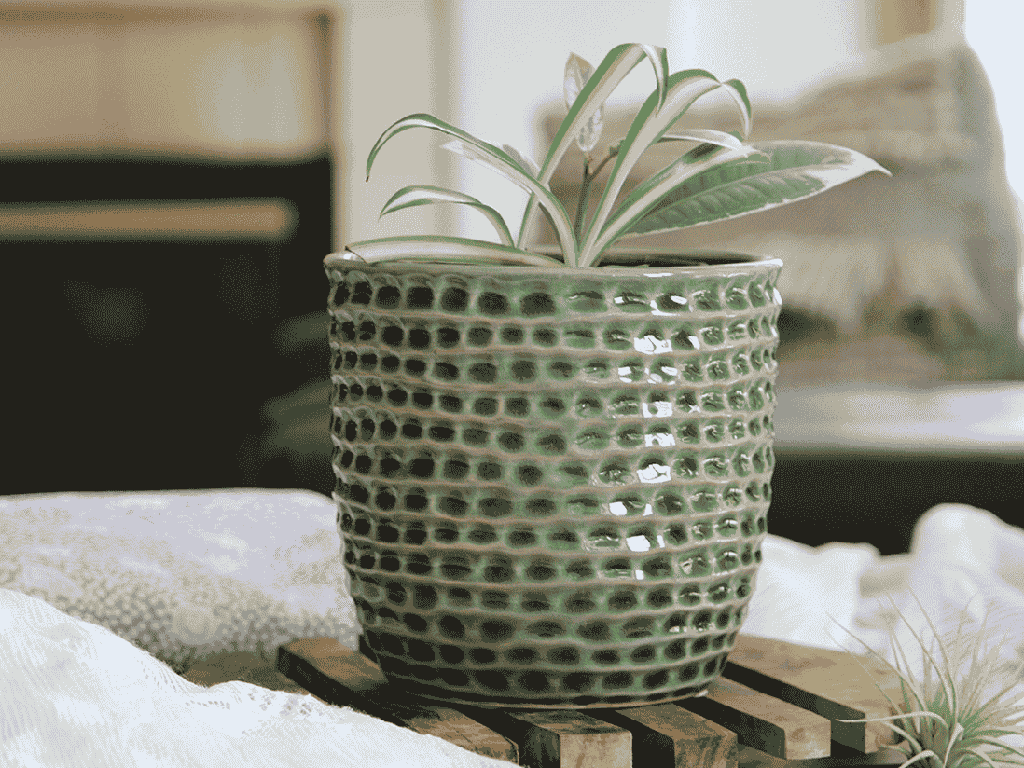 HONEYCOMB PLANTER, EMERALD, 6.5"x5.5" SOLD IN CASE OF 6