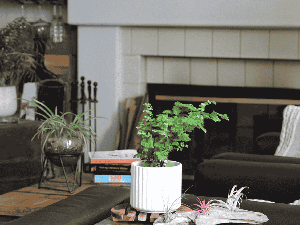 [IP-MC2036MWH-C6] BRUSH COMB PLANTER, MATTE WHIE, 6.5"x6.5" SOLD IN CASE OF 6