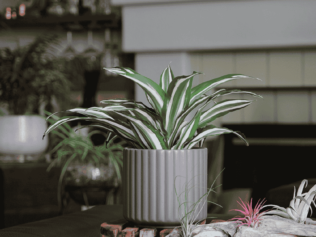 BRUSH COMB PLANTER, SPACE-GREY, 6.5"x6.5" SOLD IN CASE OF 6