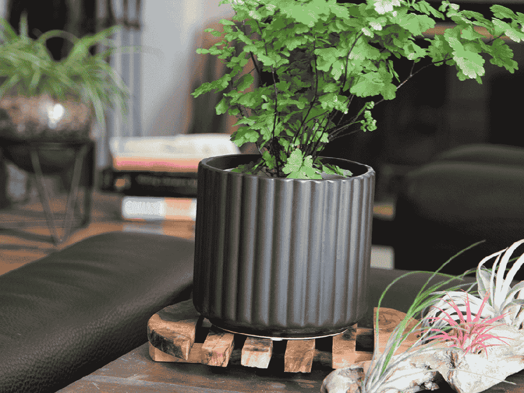BRUSH COMB PLANTER, MATTE BLACK, 8"x8" SOLD IN CASE OF 4