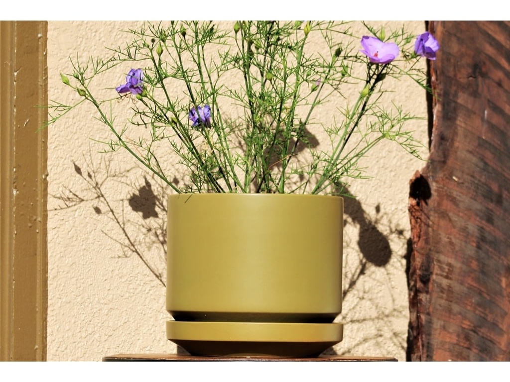 [IP-MD2059MNL] MELROSE M-MODERN PLANTER, MAGNOLIA, 12.0"x12.0"