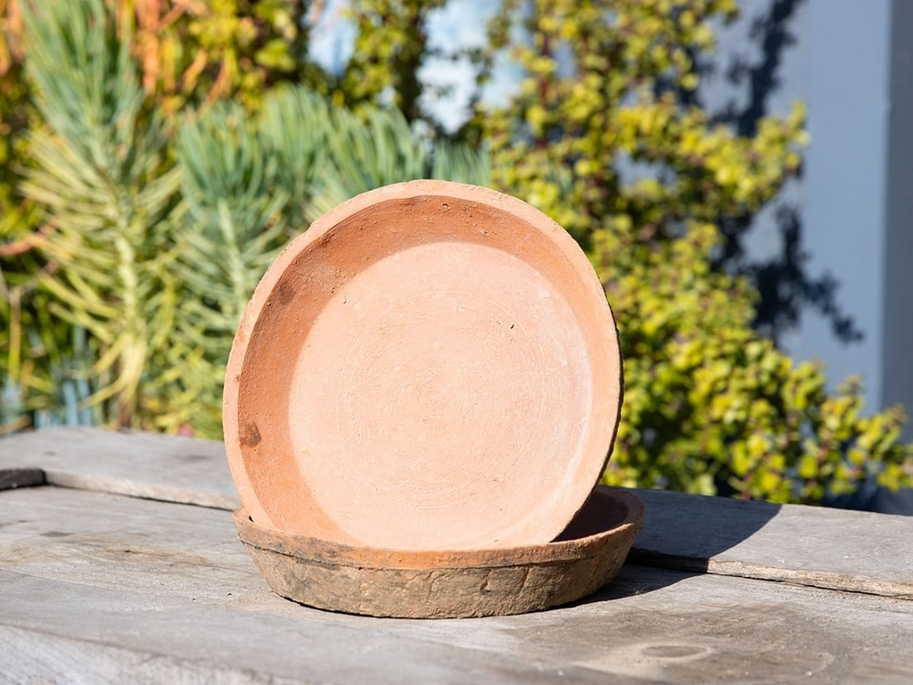 [IP-TSCR101MRS] NOTTING HILL MOSSED REDSTONE 4" SAUCER