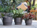 LARGE PLANET PLANTER, JET GREY, SET OF 3- 14"X11", 12"X10", 10"X9"