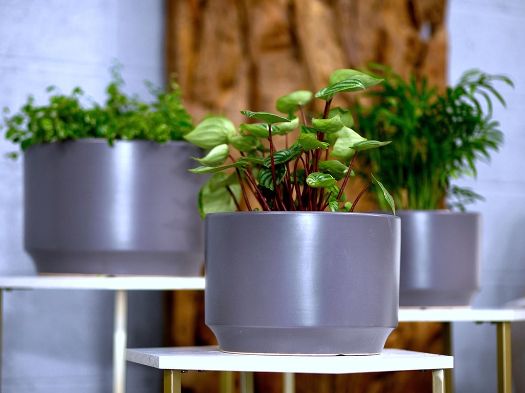 LARGE VENUS PLANTER, JET GREY, SET OF 3- 12"X8.5", 10"X7", 8"X6"