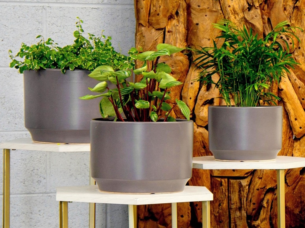 LARGE VENUS PLANTER, PASTEL TAUPE, SET OF 3- 12"X8.5", 10"X7", 8"X6"