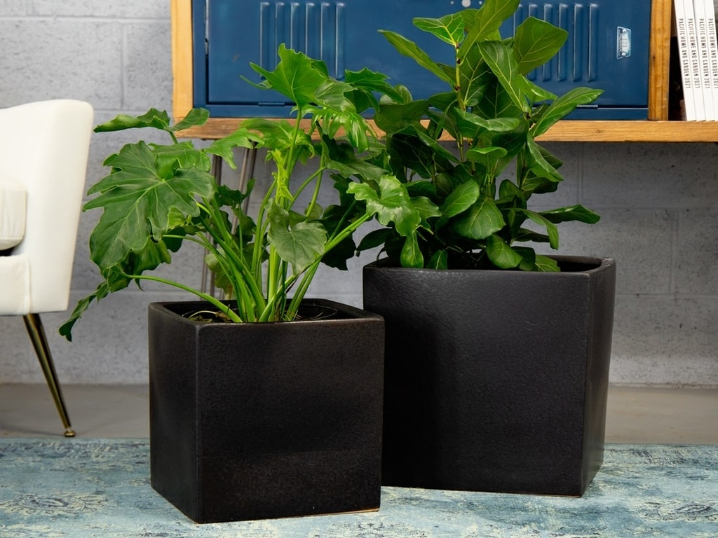 SQUARED OLIVE TREE PLANTER, STEEL BLACK, SET OF 2- 14.0"X14.0", 12.0"X12.0"
