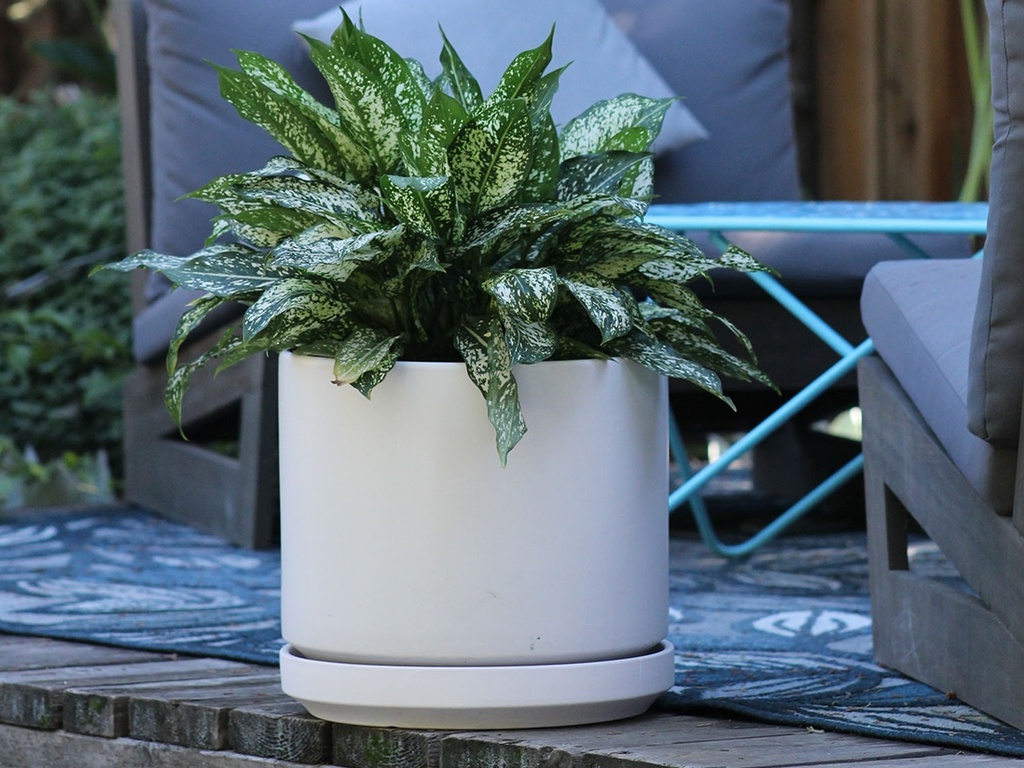 MID MODERN PLANTER WITH DETACHED SAUCER, CLOUD WHITE, 14.0"X12.0", 14.0"X2.5"