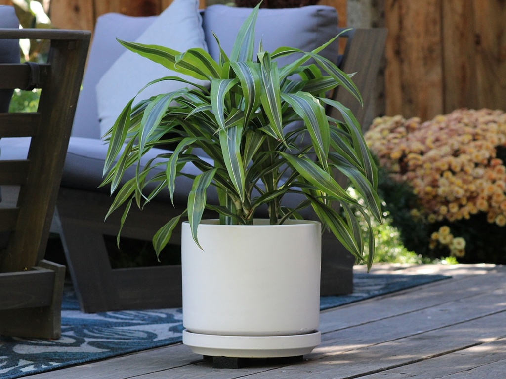 MID MODERN PLANTER WITH DETACHED SAUCER, CLOUD WHITE, 10.0"X9.0", 10.0"X2.0"