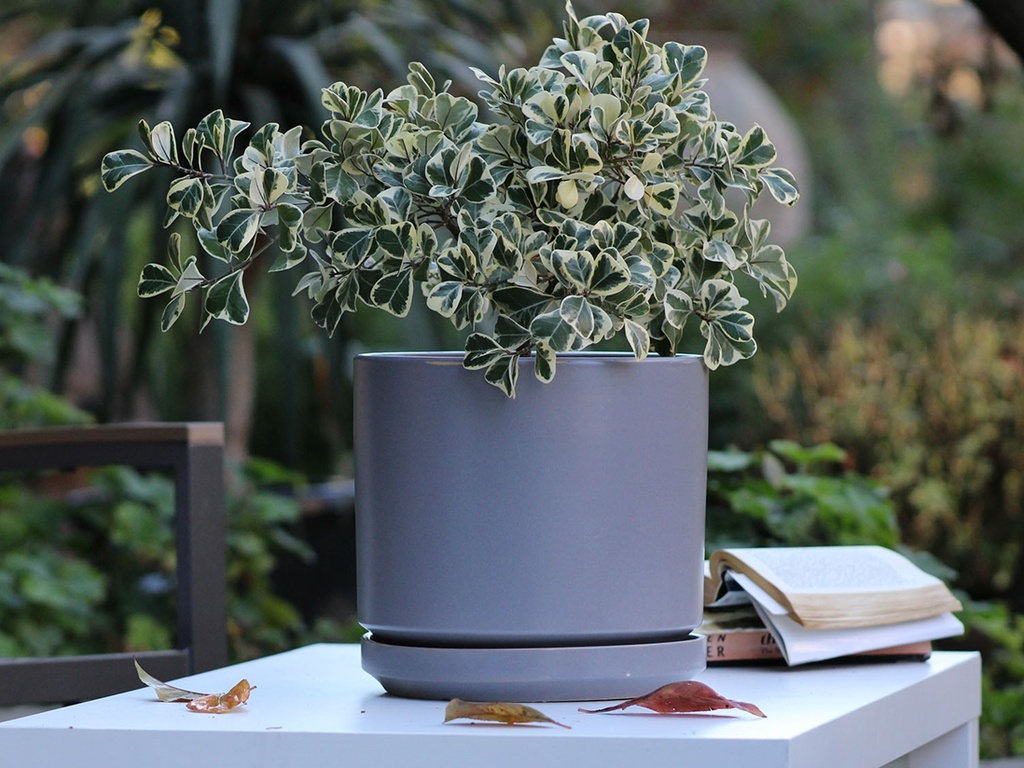 MID MODERN PLANTER WITH DETACHED SAUCER, HEATHER GREY, 12.0"X10.5", 12.0"X2.5"