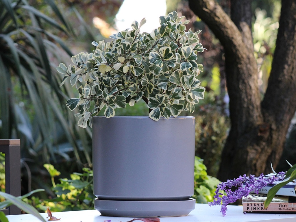 MID MODERN PLANTER WITH DETACHED SAUCER, HEATHER GREY, 10.0"X9.0", 10.0"X2.0"