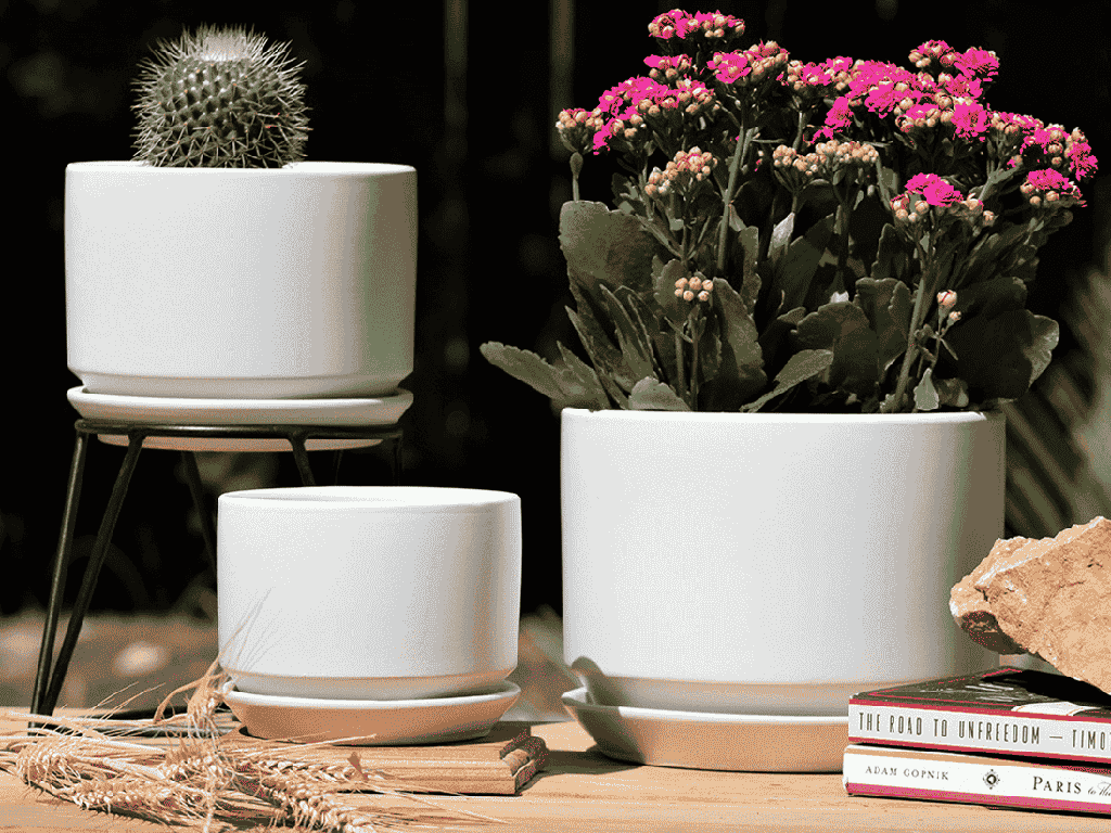 [PC-I3006CWH-S3-C2] VENUS PLANTER WITH ATTACHED SAUCER, CLOUD WHITE, 8.5"x7.5" 6.5"x6.5" 5.5"x5.0", SOLD IN CASE OF 2