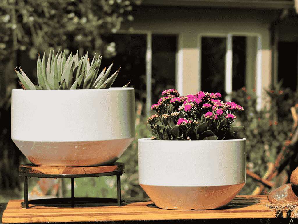 [PC-T3002CWH-S2] MOON WALKER, CLOUD WHITE, SET OF 2- 14.0"x8.5" 12.0"x7.5"