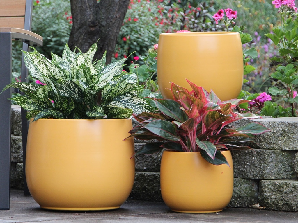 DAHLIA PLANTER, MUSTARD, SET OF 3- 15"X12.5", 12"X11", 10"X8"