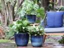 CAMILIA PLANTER, TROPICAL BLUE, SET OF 3- 15"X13.5", 12"X12", 10"X9"