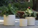 PEONY POT, HONEY SPLASH, SET OF 3, 15"X13.5"  12"X11" 10"X9"