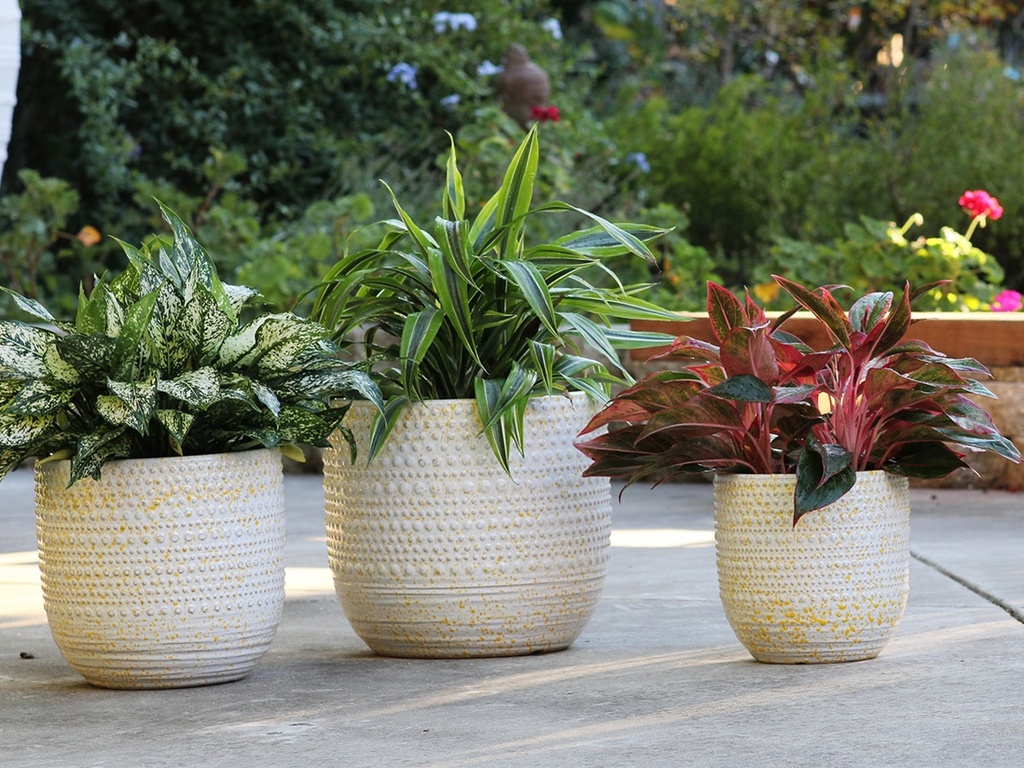 GARDENIA PLANTER, HONEY SPLASH, SET OF 3,  15"X13.5"  12"X11" 10"X9"