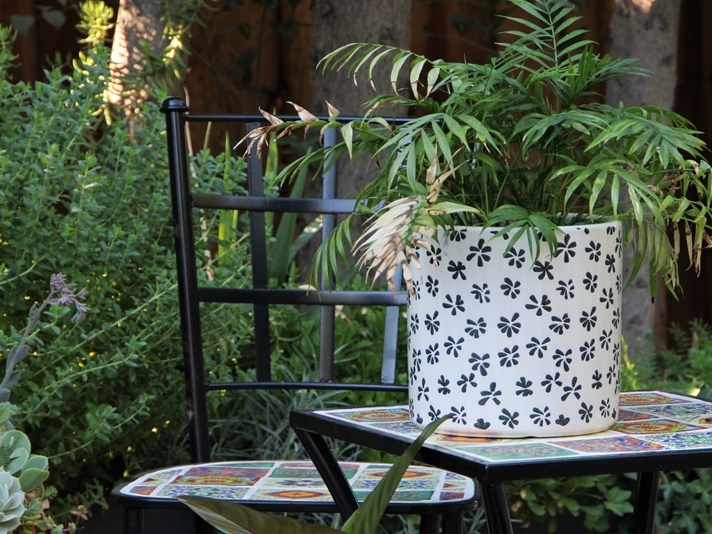 CYLINDER STAMPED FLORAL PLANTER, BLACK PANSY, 9.5"X9.5", SOLD IN CASE OF 2