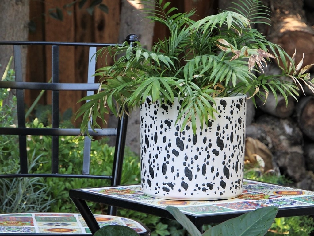 [PD-A5006DMT-A] CYLINDER STAMPED FLORAL PLANTER, DALMATION, 12"X11.5"