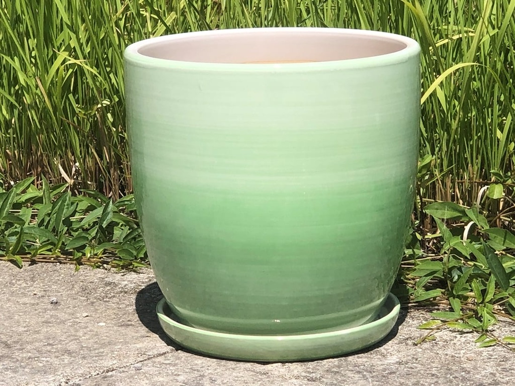 DAFFODIL PLANTER W/ SAUCER, OMBRE GREEN, 9.5"X9.5", SOLD IN CASE OF 2