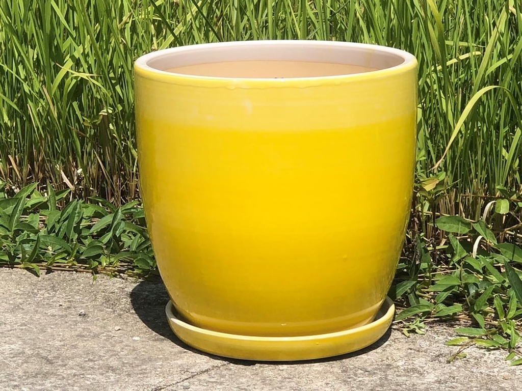 [PD-A5007OMY-A] DAFFODIL PLANTER W/SAUCER, OMBRE YELLOW, 12"X11.5"