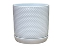 DOTTED CYLINDER PLANTER WITH ATTACHED SAUCER, BRIGHT WHITE, 7.0"x 7.5", SOLD IN CASE OF 6