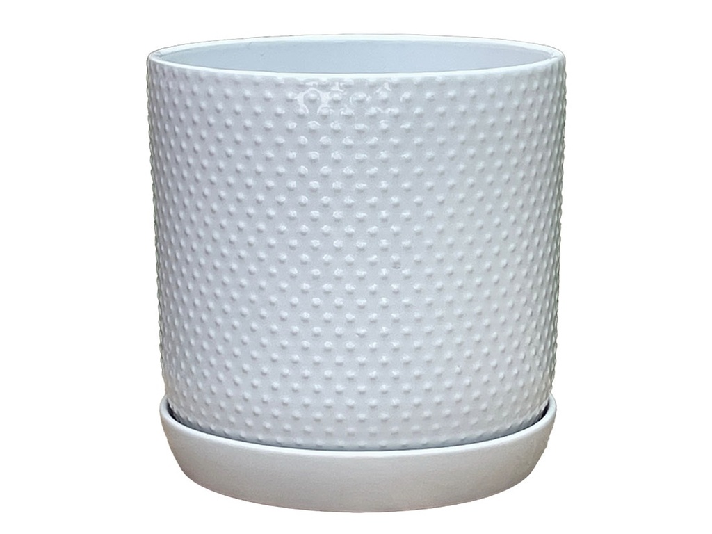 DOTTED CYLINDER PLANTER WITH ATTACHED SAUCER, BRIGHT WHITE, 5.0"x5.5", SOLD IN CASE OF 8