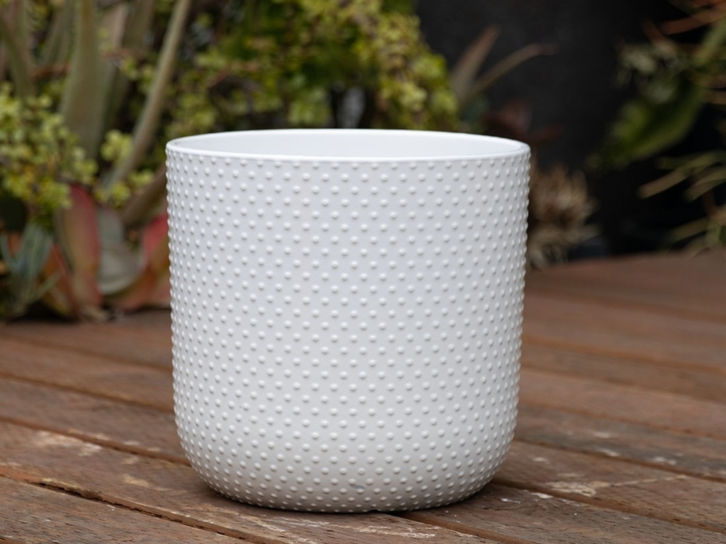 [PD-T6088BWH-A-C2] DOTTED CYLINDER PLANTER (NO SAUCER), BRIGHT WHITE, 11"X11.5", SOLD IN CASE OF 2