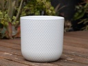 DOTTED CYLINDER PLANTER (NO SAUCER), BRIGHT WHITE, 11"X11.5", SOLD IN CASE OF 2