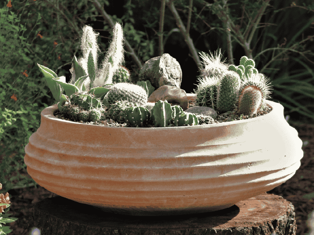 PIATELA PLANTER, 20.5"x8.5"