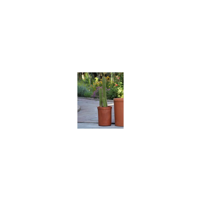 CYLINDRICAL PLANTER, 8.0"X11.0"