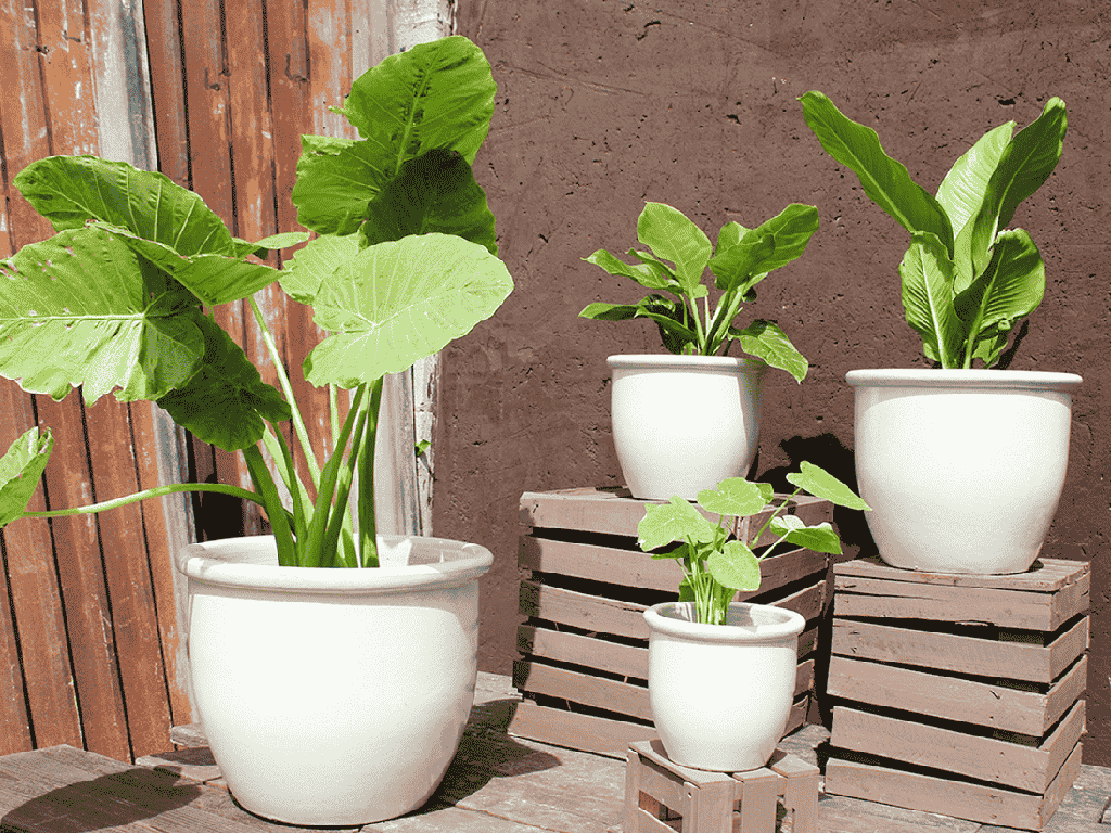 CANA GARDEN PLANTER, WHITE SATIN, SET OF 4-  24"X20", 19"X17", 16"X13", 12"X10"