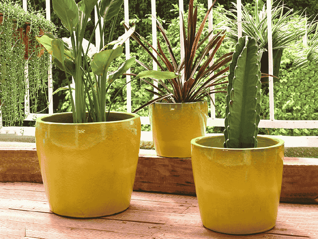 [PV-CG818LMN-S3] BUTTERCUP, LEMON, SET OF 3- 16.0" X 14.0", 13.0" X 12.0", 10.0" X 9.5"