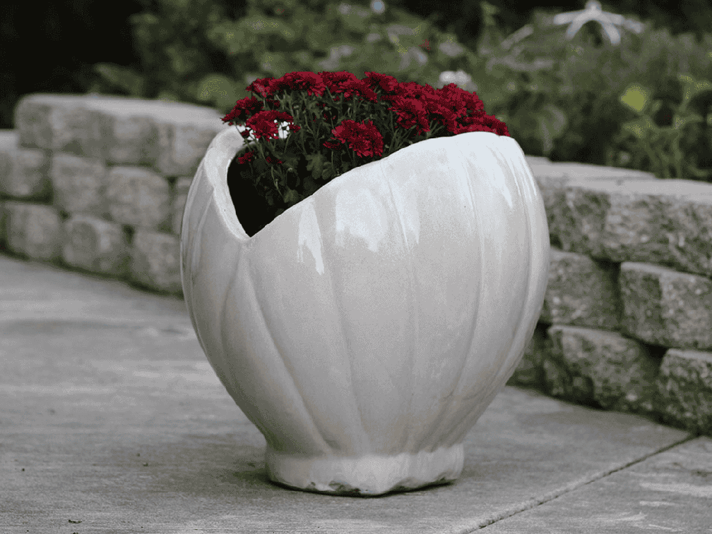 [PV-LBST26WNS] CONE SHELL PLANTER, WHITE NO SPECKLE, 15.5" X 19.0" X 16.5"