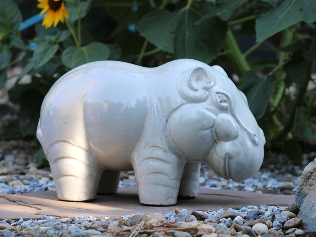 HIPPO, WHITE SPOT 19.5"X10.0"X12.5"