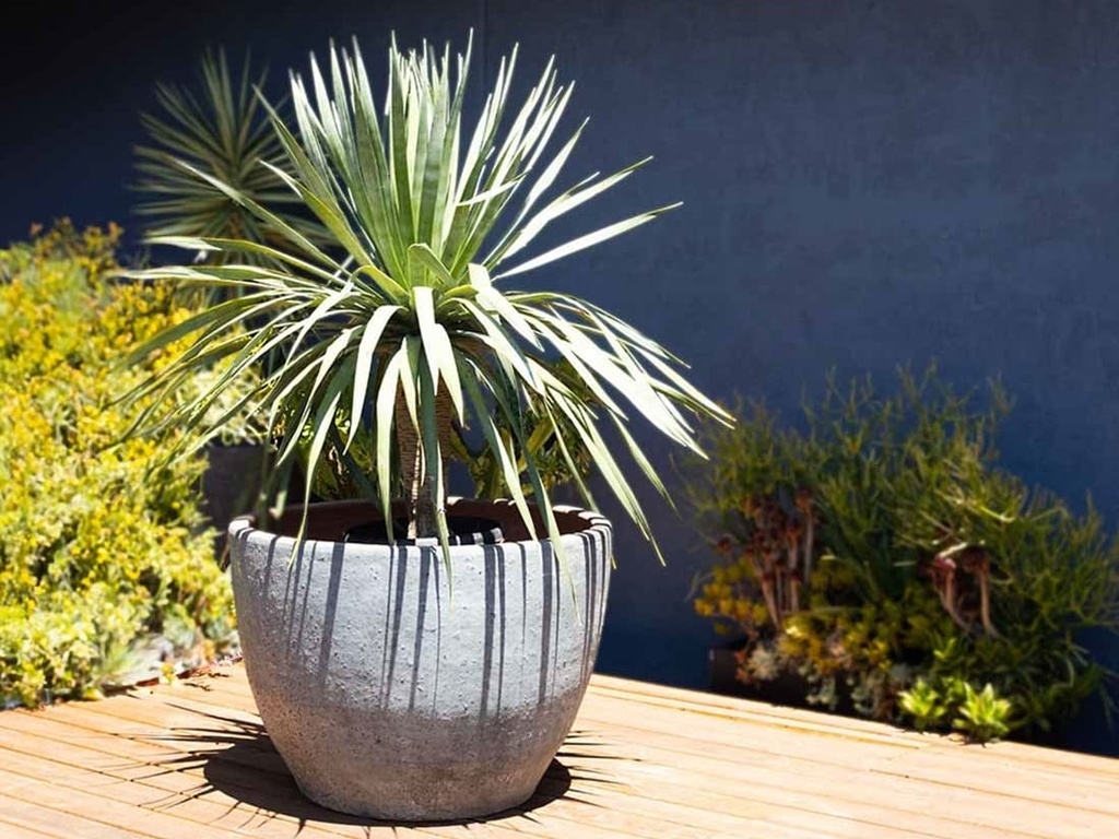 [PV-TS0147GPH-S3] XLG RIMLESS PARCO PLANTER, GRAPHITE, SET OF 3 - 35.0" X 29.0", 29.0" X 24.0", 22.0" X 18.0", ABC