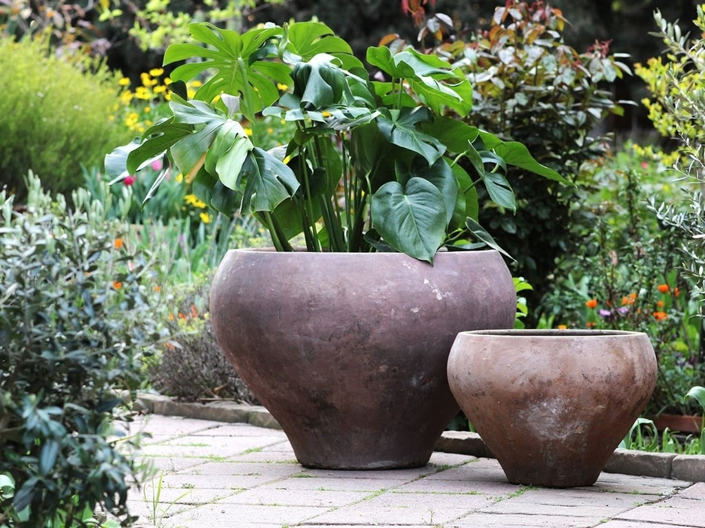 MOCHA RED, 28.0"X20.5", 20.0"X12.5"