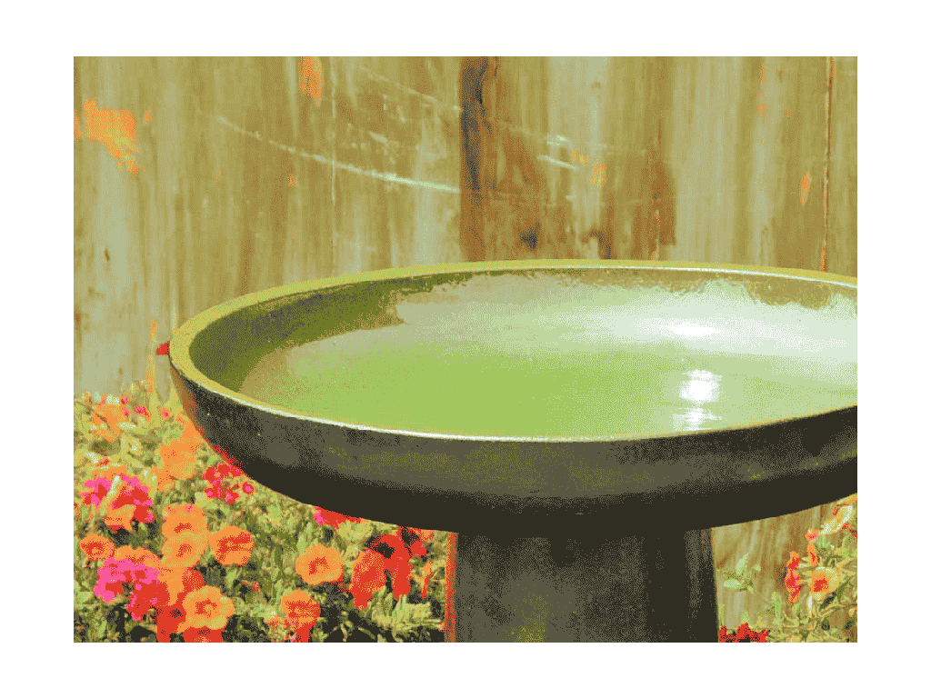 [PY-AB5207SPG] VICHY BIRDBATH/LOCKING TOP, SPRING GREEN, 19"X27.50"