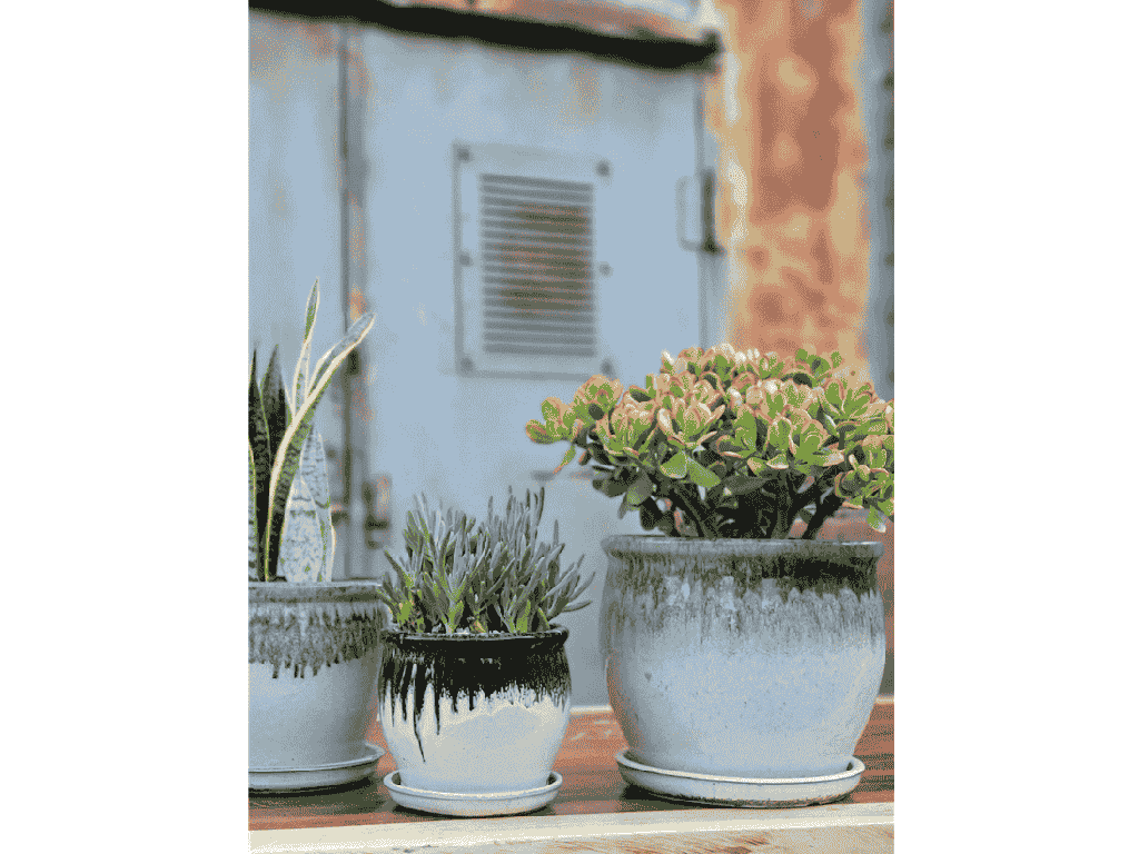 GOBLET PLANTER WITH ATTACHED SAUCER, MOCHA, 10"X9"