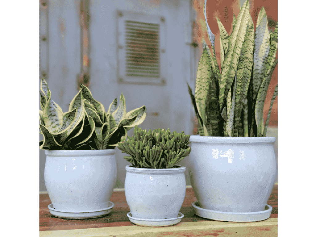 GOBLET PLANTER WITH ATTACHED SAUCER,WHITE SPECKLE, 12.5"X11.0"