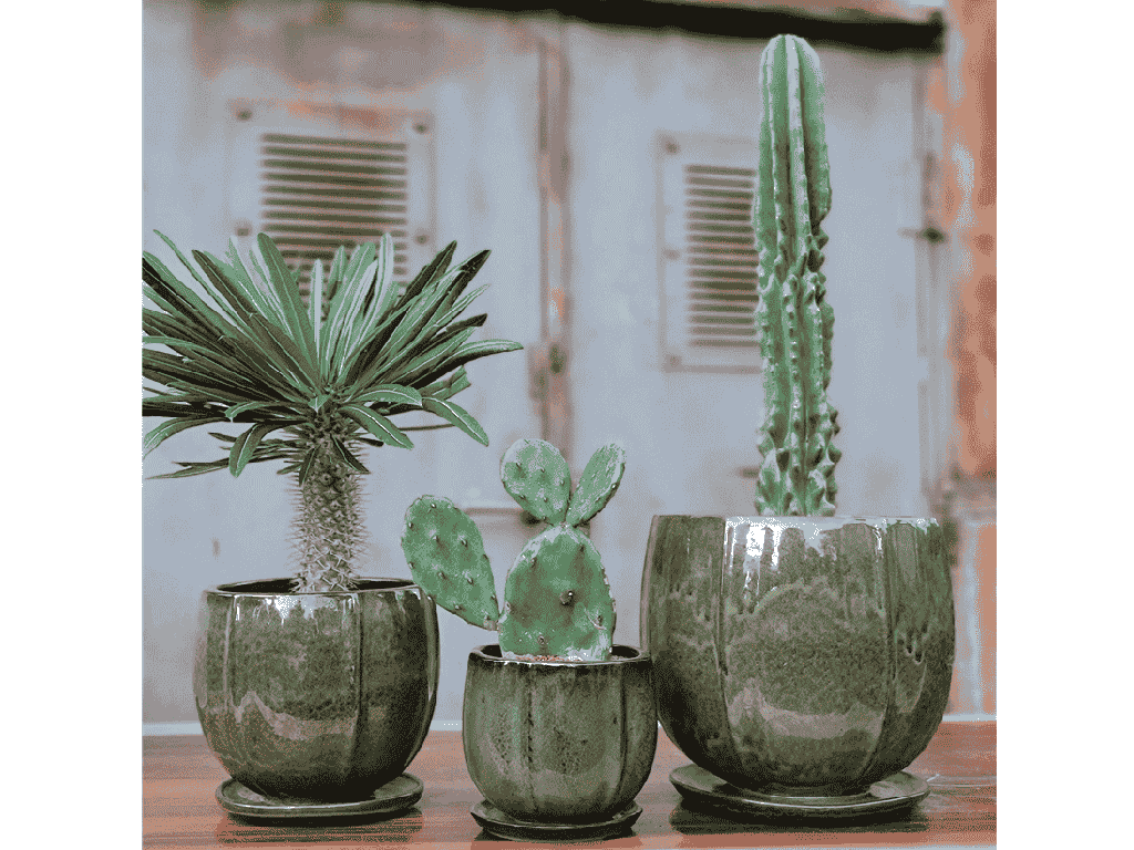 EGGPLANT PLANTER ATTACHED SAUCER, TROPICAL GREEN, 8.5'' X 7.5''