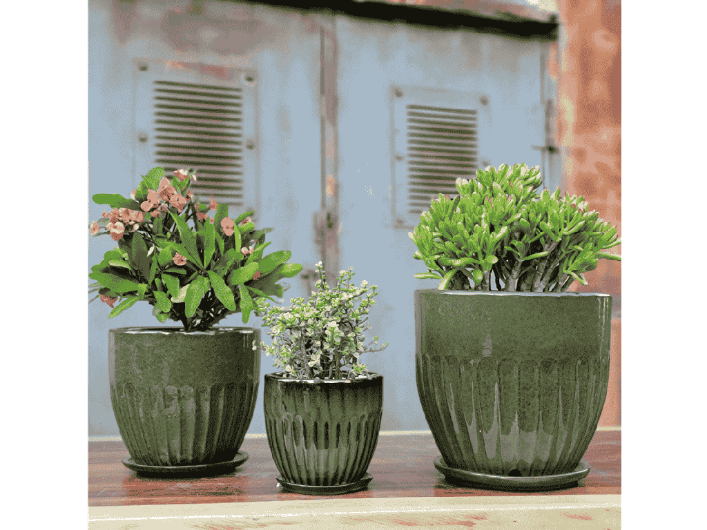 [PY-AS5094TGN-D] ZARAGOZA PLANTER WITH ATTACHED SAUCER, TROPICAL GREEN, 8.5" X 7.5"