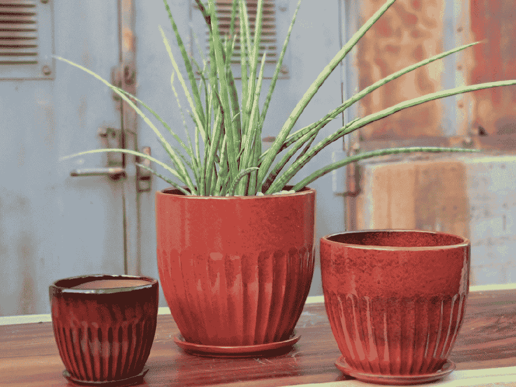 ZARAGOZA PLANTER WITH ATTACHED SAUCER, TROPICAL RED, 13" X 12"