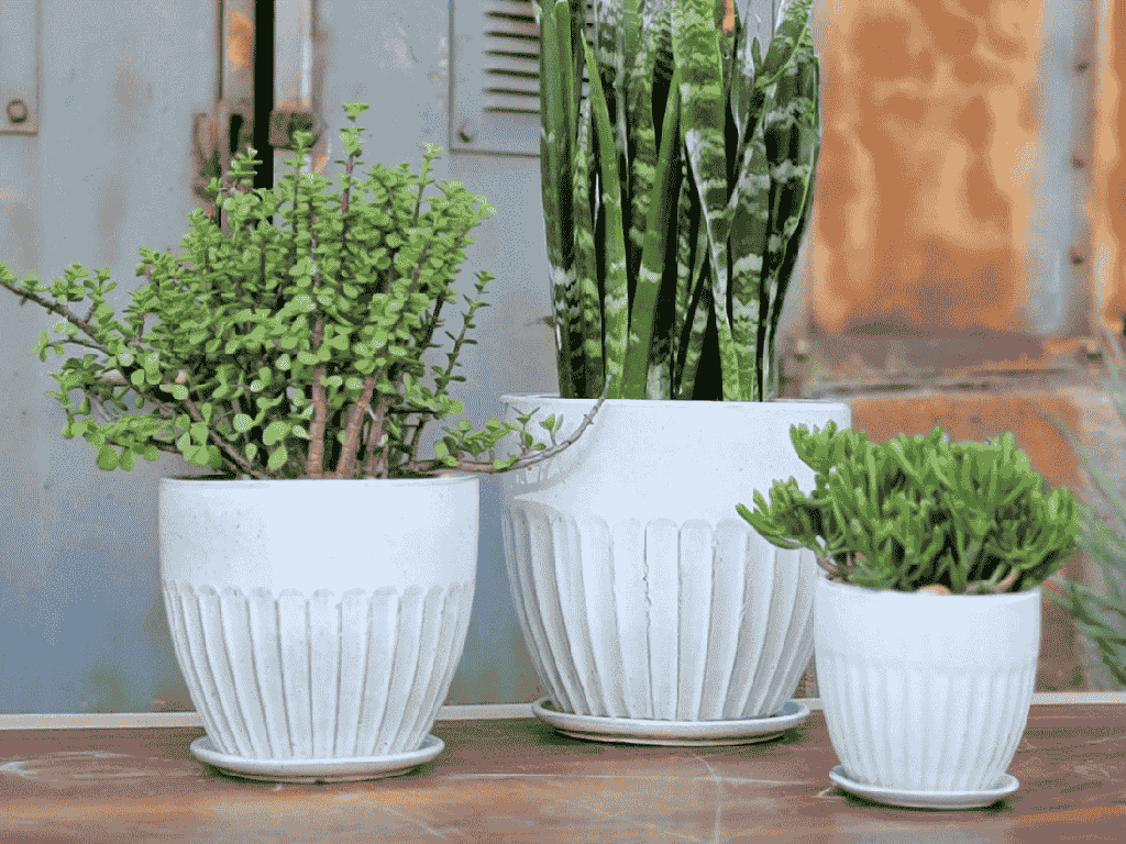 [PY-AS5094WSP-D] ZARAGOZA PLANTER WITH ATTACHED SAUCER, WHITE SPOT, 8.5" X 7.5"