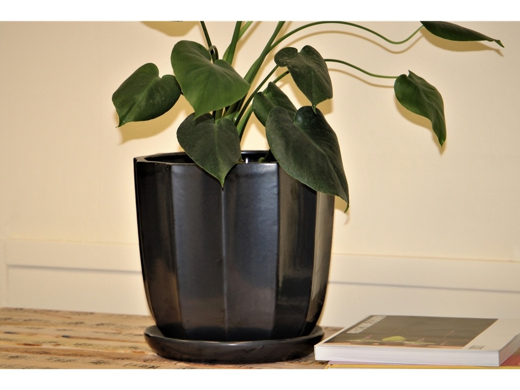 CLAMSHELL PLANTR WITH ATTACHED SAUCER, SILVER, 10.5"X10.5"