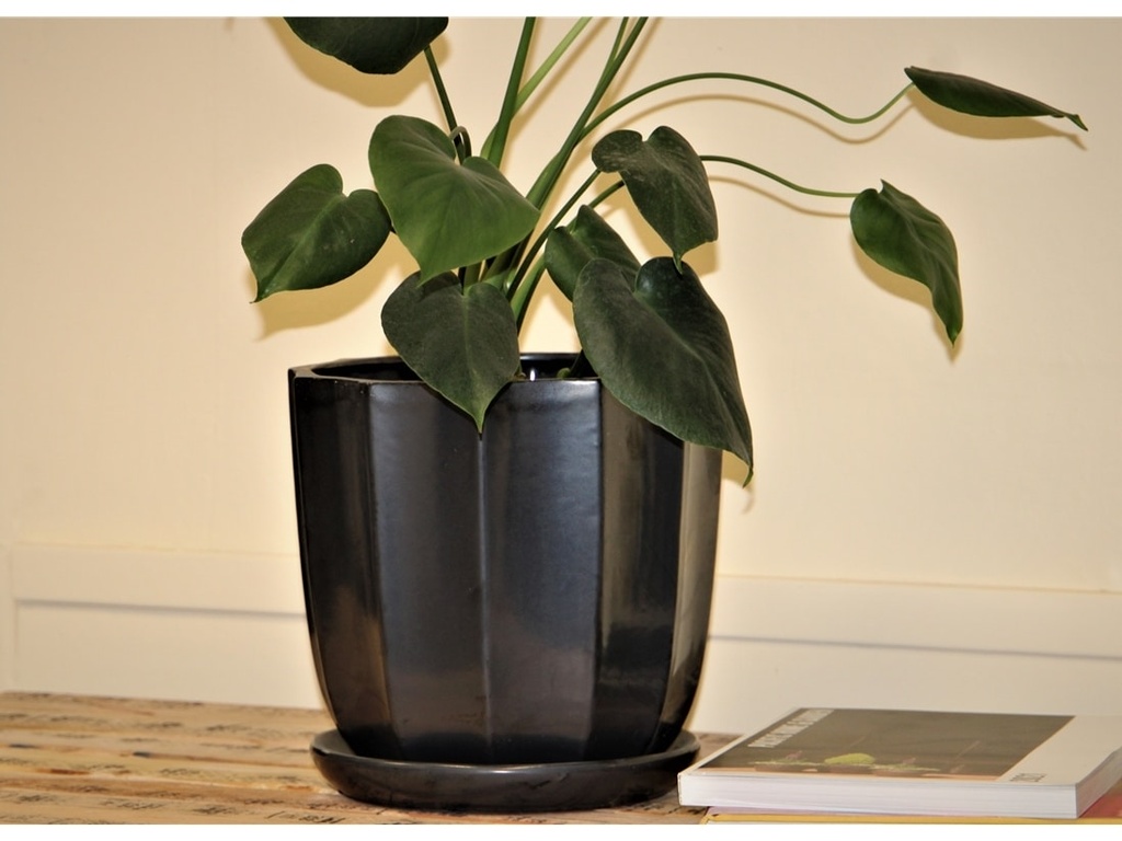 CLAMSHELL PLANTR WITH ATTACHED SAUCER, SILVER, 6.5"X6.5"