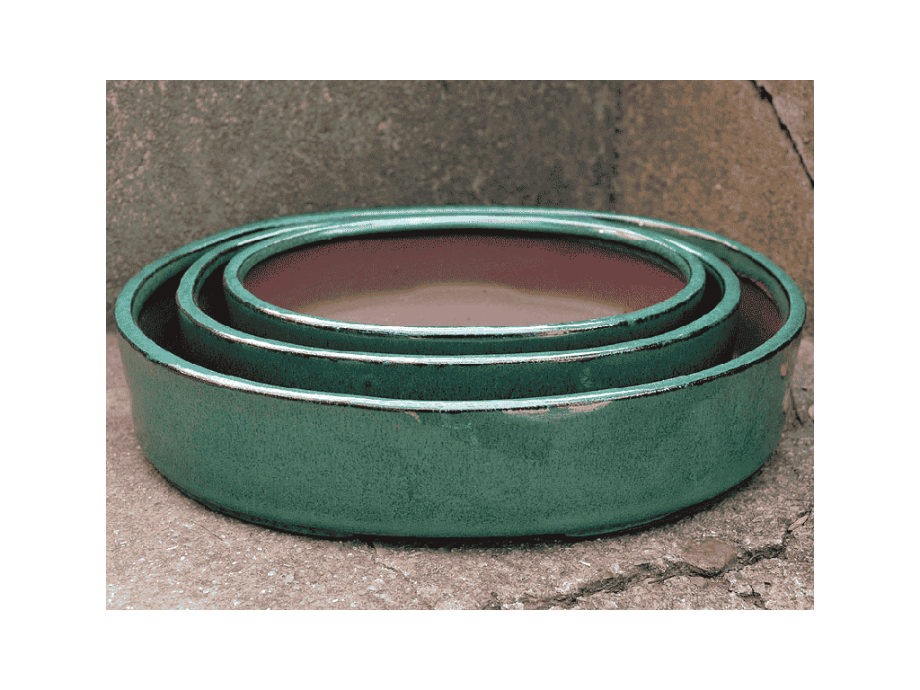 KYOTO BONSAI, JADE, SET OF 3- 9.5"x8.0"x2.0", 7.5"x6.0"x2.0", 6.5"x5.0"x1.5" "SOLD IN CASE OF 2"